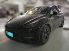 [青岛·鲁B] 特斯拉Model Y2021款 标准续航后驱版