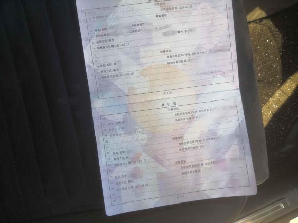 [上海·沪F] 二手大众蔚揽2018款 380TSI 两驱畅行版