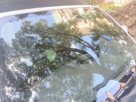 [上海·沪F] 二手宝马宝马2系2018款 220i 敞篷轿跑车 运动设计套装