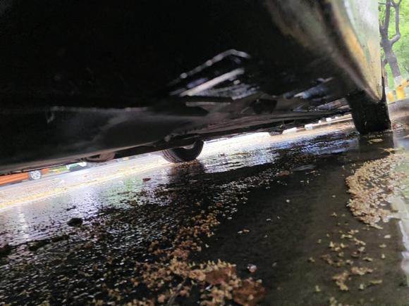 [苏州·苏E] 二手日产骐达TIIDA2008款 1.6L 自动智能型