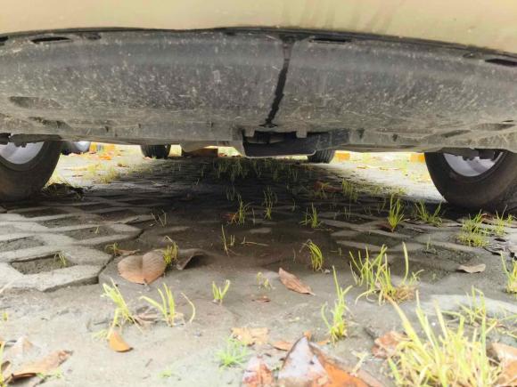 [上海·陕D] 二手东南东南DX32016款 1.5L 手动尊贵型