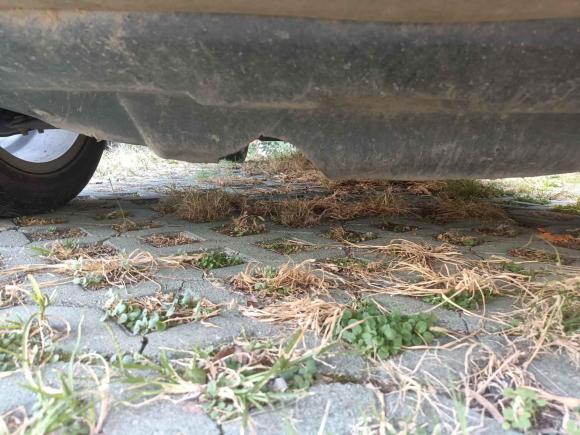 [嘉兴·浙F] 二手哈弗哈弗H22016款 红标 1.5T 手动两驱精英型