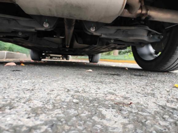 [苏州·苏E] 二手领克领克052020款 2.0TD 两驱耀Halo