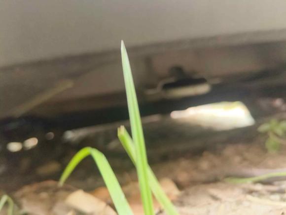 [上海·湘D] 二手荣威荣威3602015款 1.5L 自动豪华版