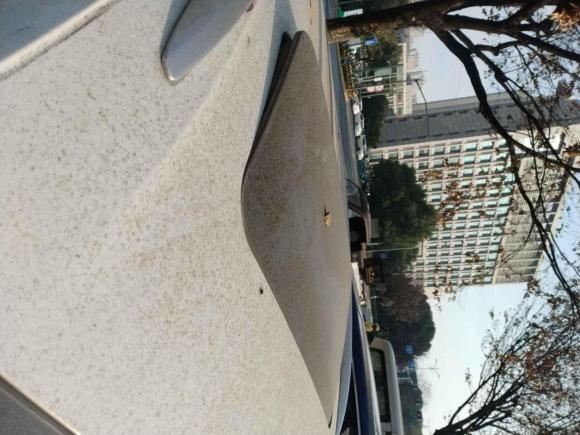 [常州·川J] 二手捷达捷达VS52019款 280TSI 自动荣耀型