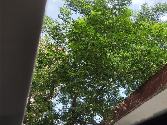 [西安·陕U] 二手启辰启辰D602020款 1.6L XL CVT悦享版